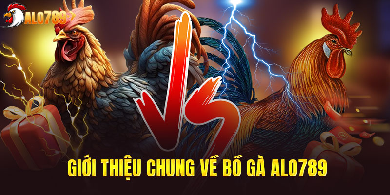 Thông tin sơ bộ về bồ gà ALO789