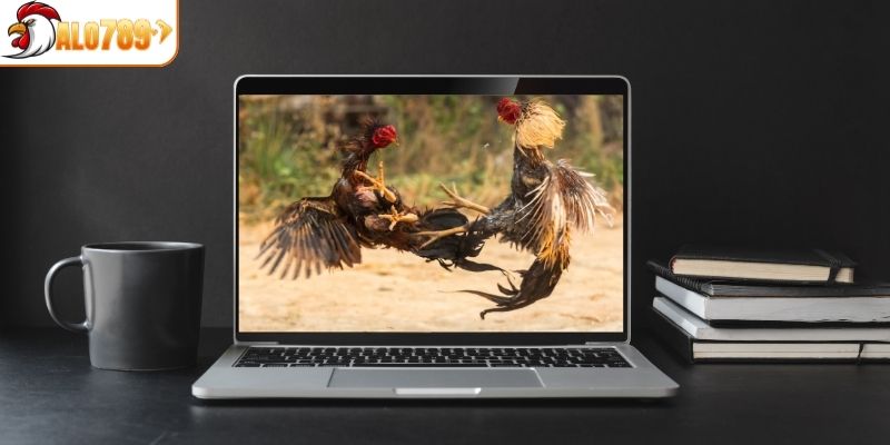 Chất lượng đường truyền tại ALO789 ổn định