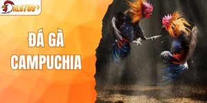 Đá gà Campuchia