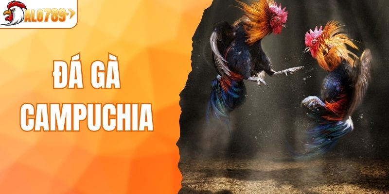 Đá gà Campuchia