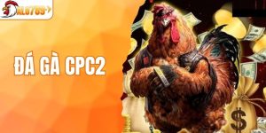 Đá gà CPC2