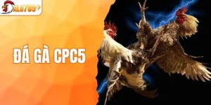 đá gà CPC5