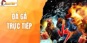đá gá trực tiếp