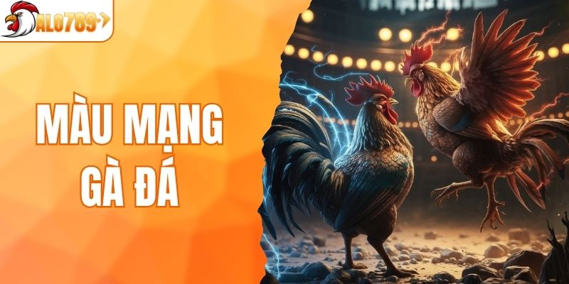 màu mạng gà đá